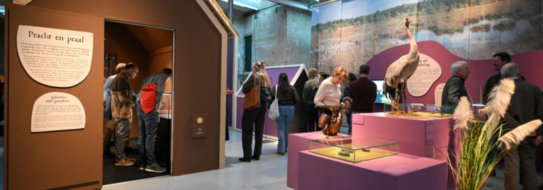 Offerschatten. Rituelen in het landschap van Overijssel — museum-expo in Enschede