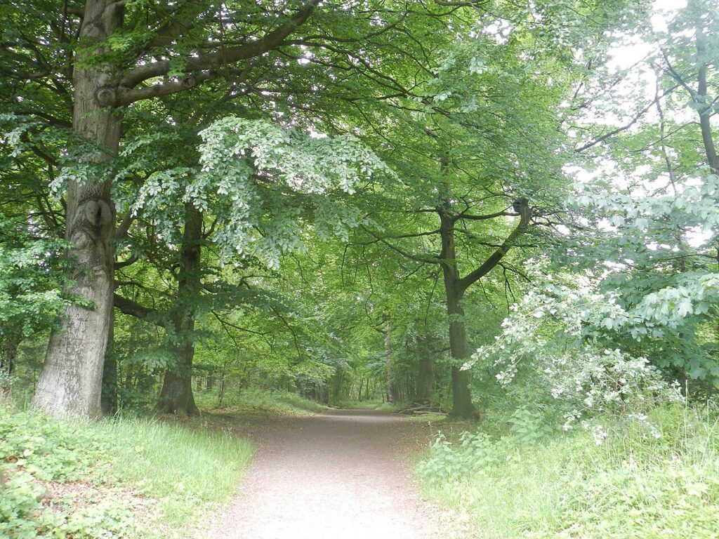 Stadswandeling in Enschede
