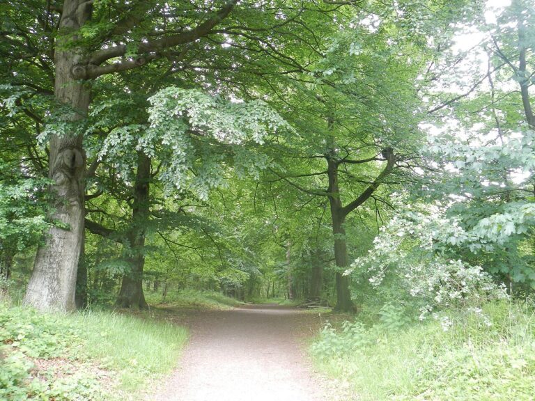 Stadswandeling — Natuur in Enschede